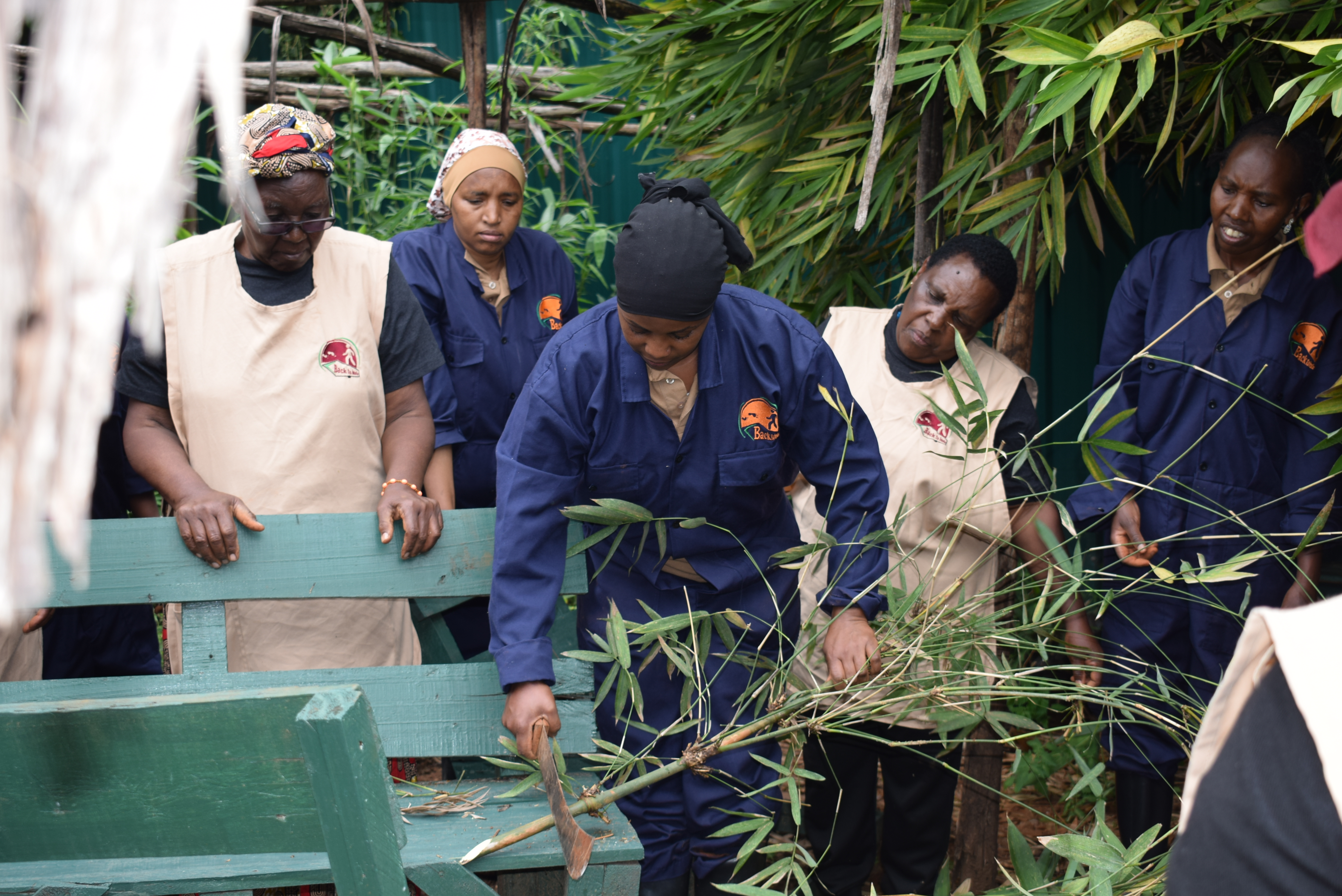 Environmental Action & Greener Communities