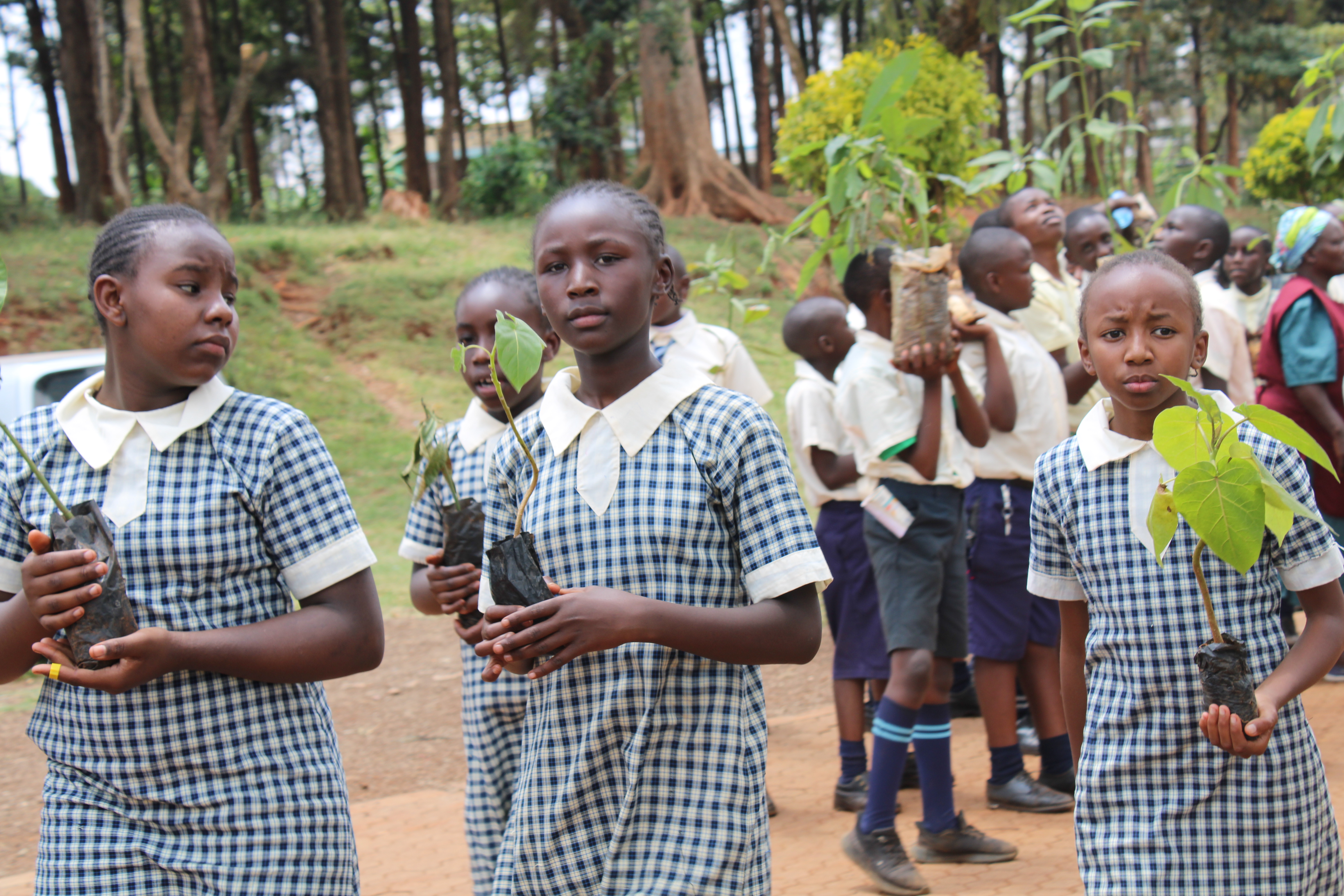 GREEN SPACES IN SCHOOLS